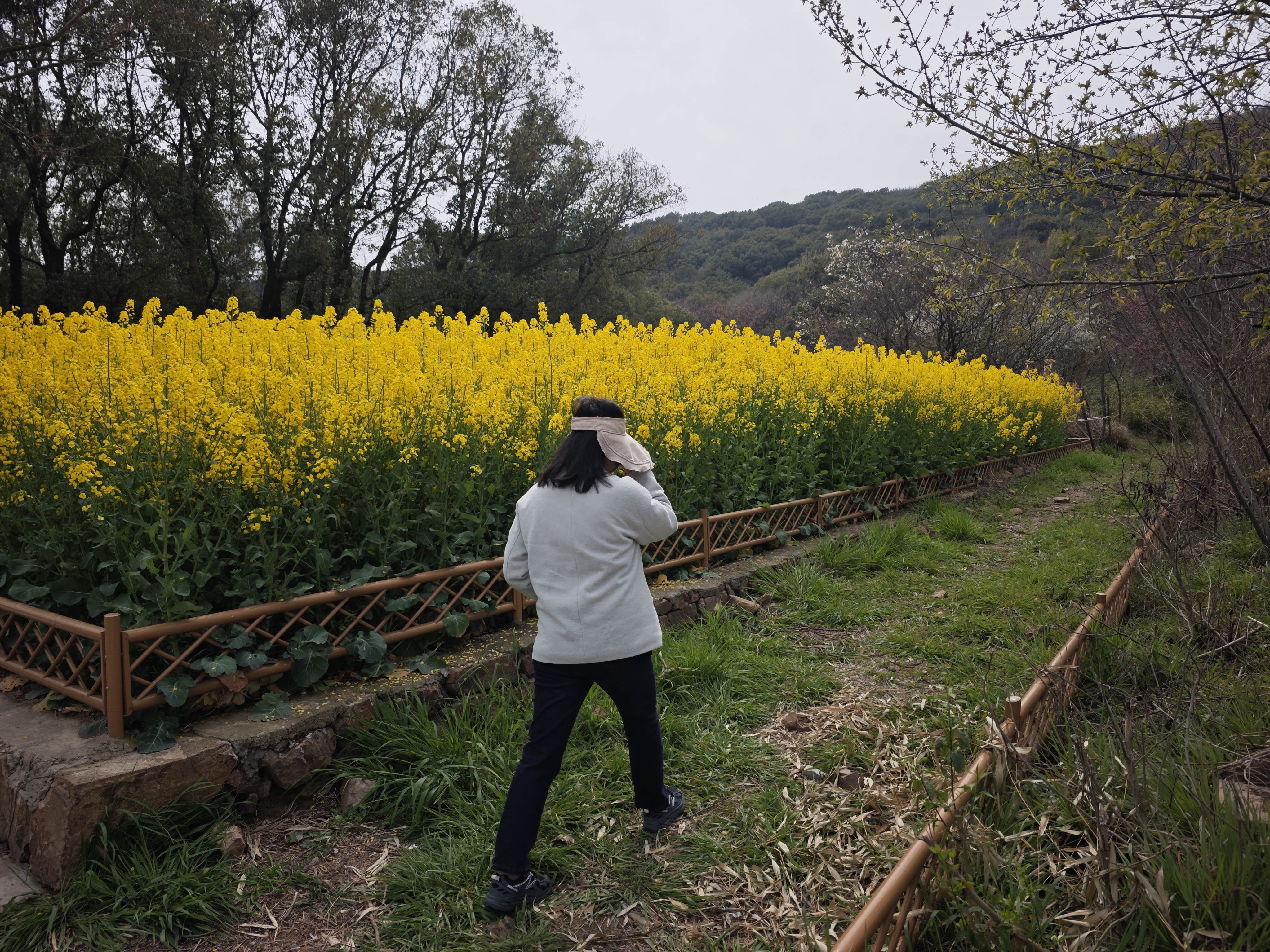 一座生活的岛屿，一种岛屿生活
