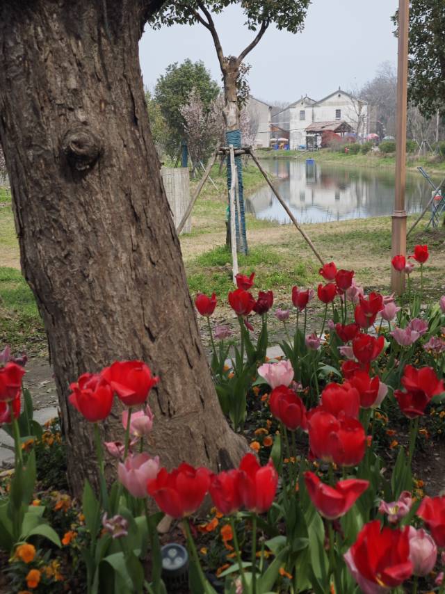 测试微信小程序真机调试