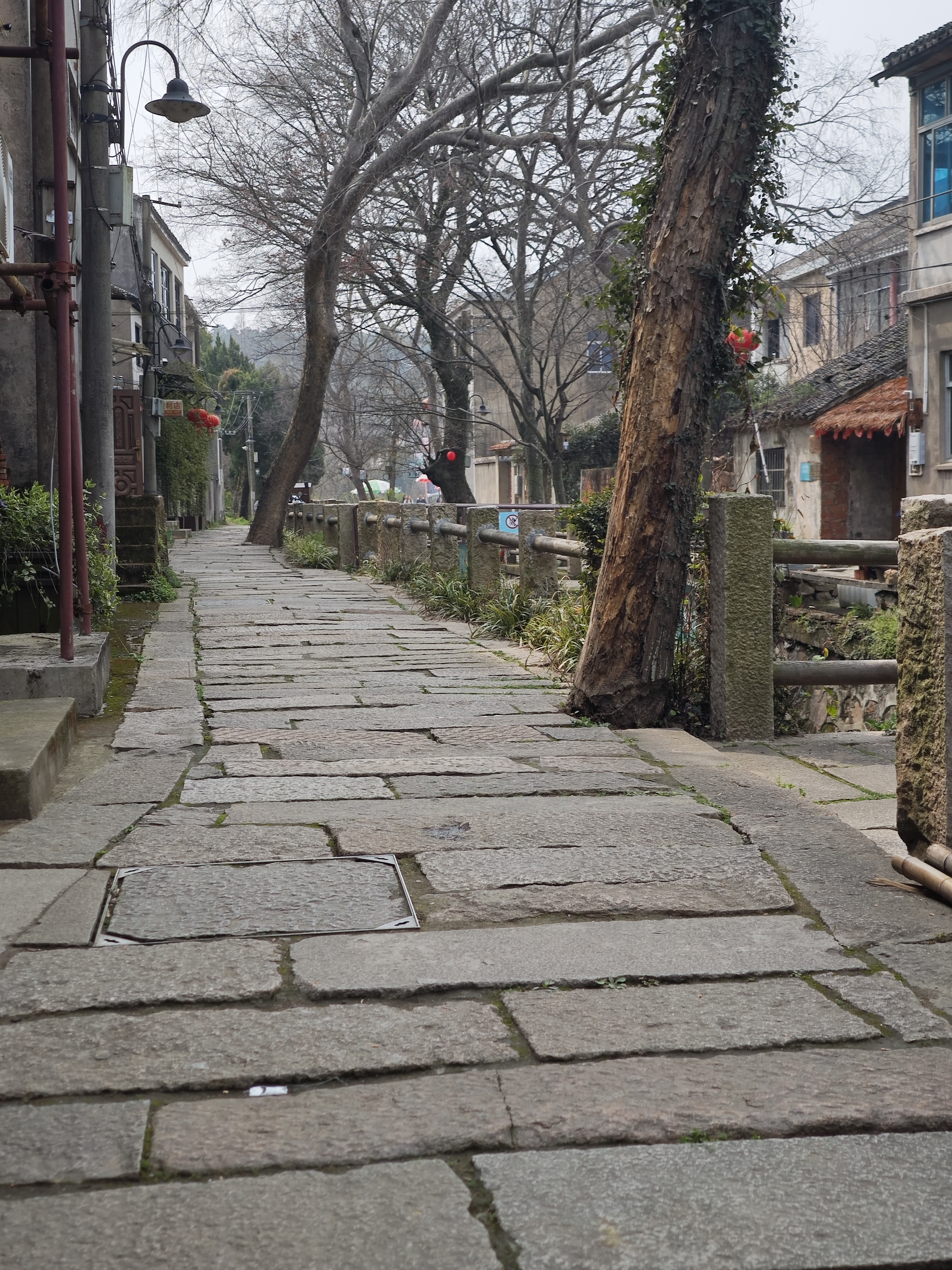 一座生活的岛屿，一种岛屿生活